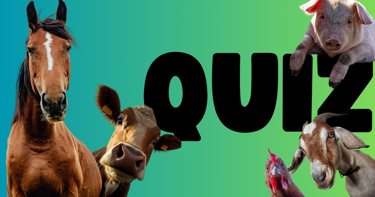 Quiz: What Farm Animal Are You?